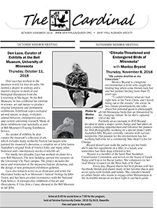 Oct & Nov 2018 Cardinal front page